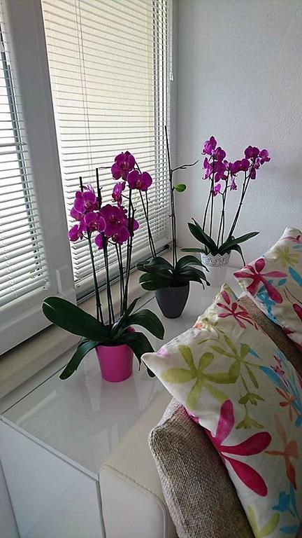 Apartment Vanja Tučepi Екстериор снимка